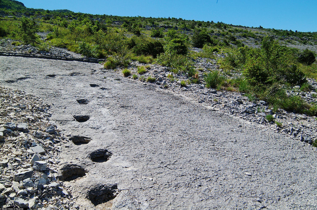 Parco dinosauri rovereto con i bambini