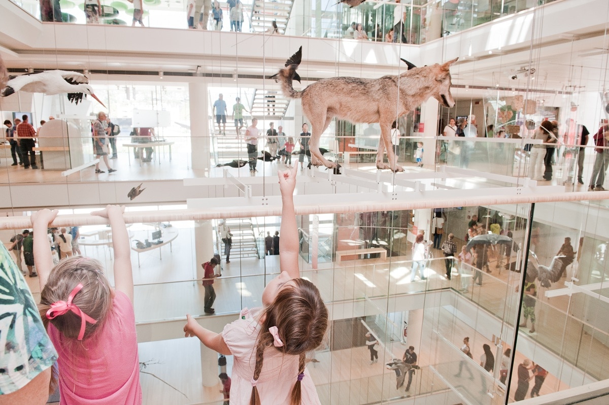 Weekend a Trento con i bambini MUSE © Archivio MUSE ph. Claudia Corrent