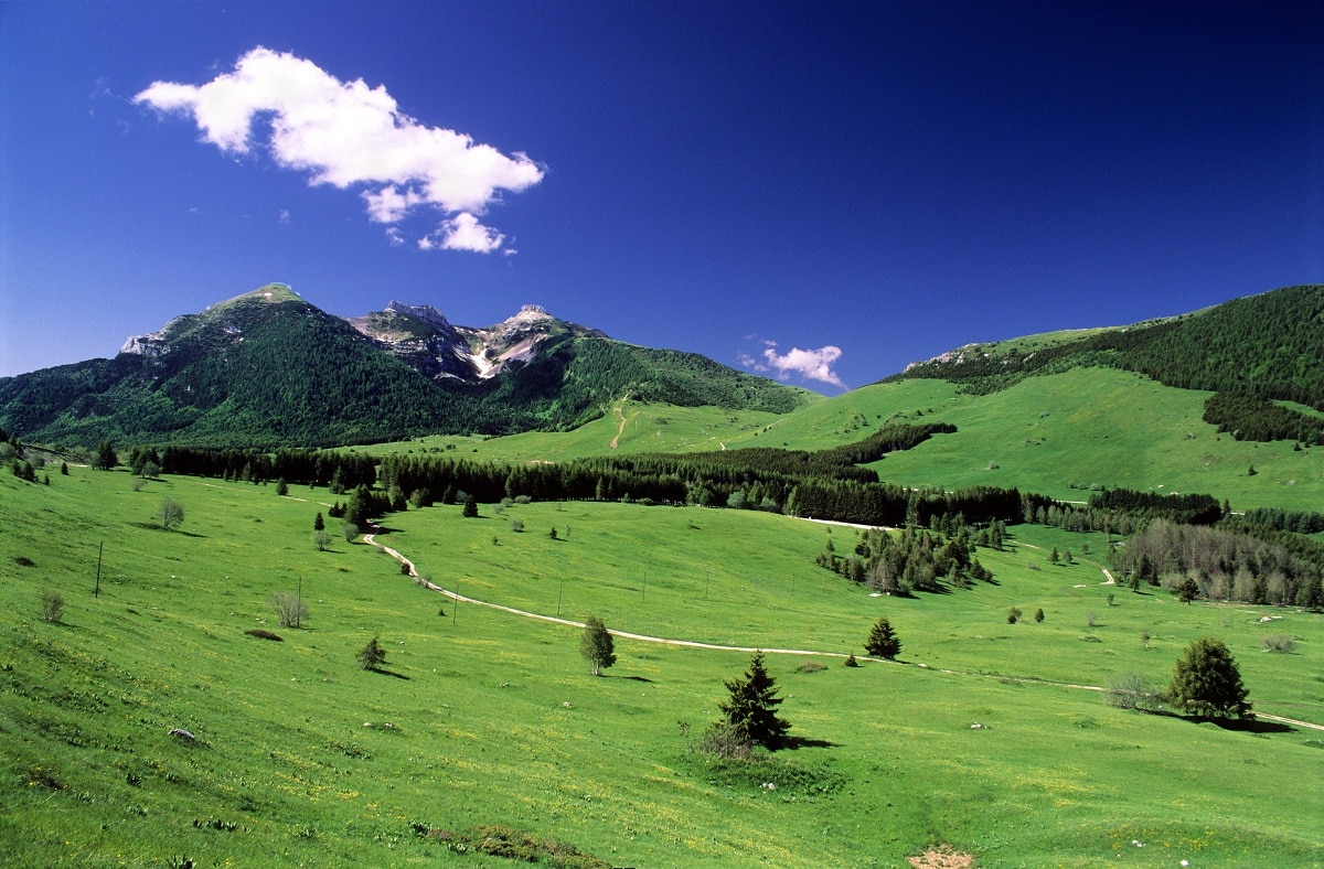 escursioni estive in montagna monte bondone trento