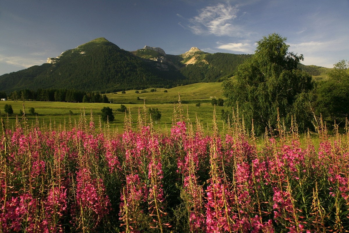 escursioni estive in montagna vicino trento monte bondone