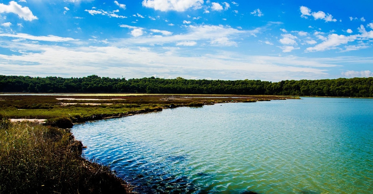 oasi wwf taranto orari di apertura