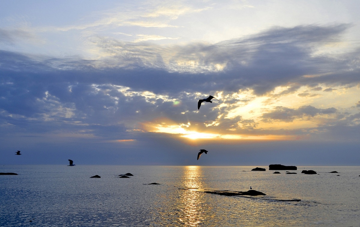 weekend romantico a ischia citara © olimpia romagnuolo via flickr