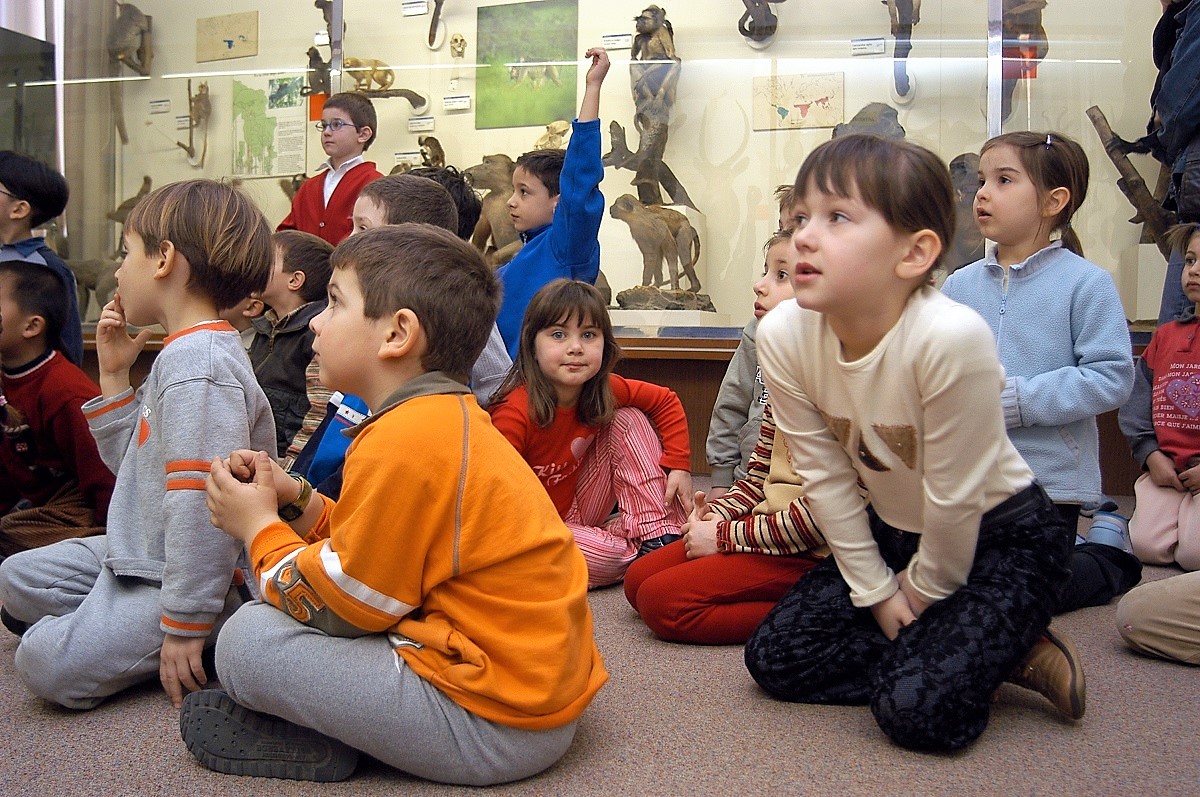 verona con i bambini notte al museo