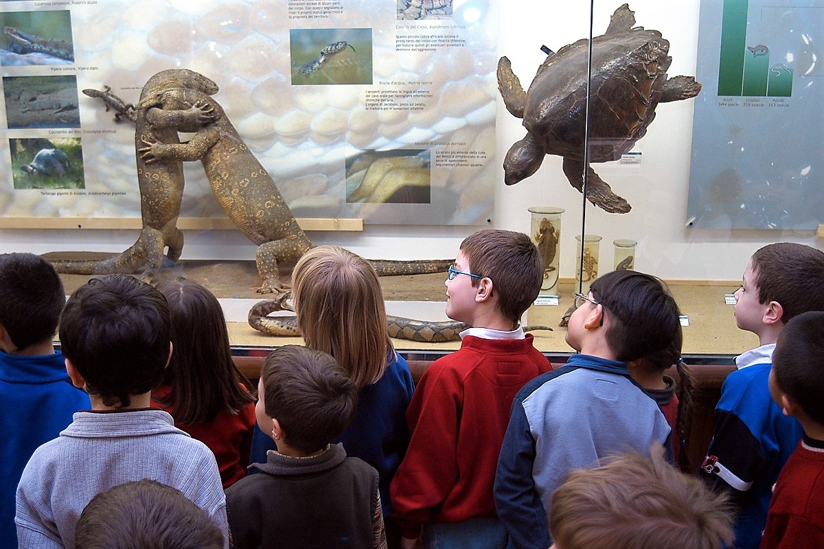 verona notte al museo di storia naturale