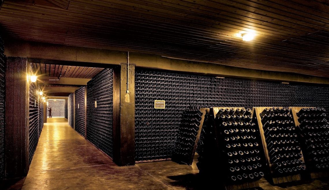 Tour del vino: le migliori cantine da visitare in Italia