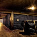 cosa visitare a trento cantine ferrari