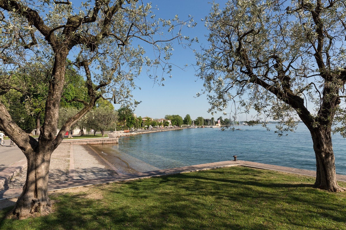 Da Peschiera fino a Bardolino idee green weekend - Bardolino