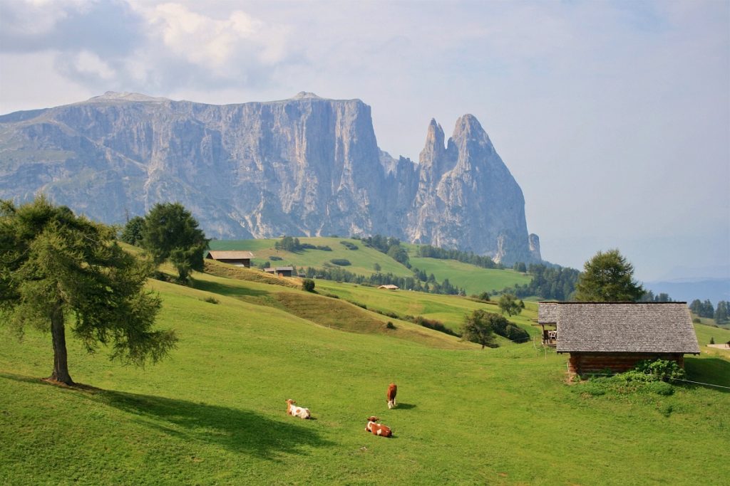 Estate in montagna Scopri Bolzano tra escursioni e aperitivi - Alpe di Siusi Seiser Alm