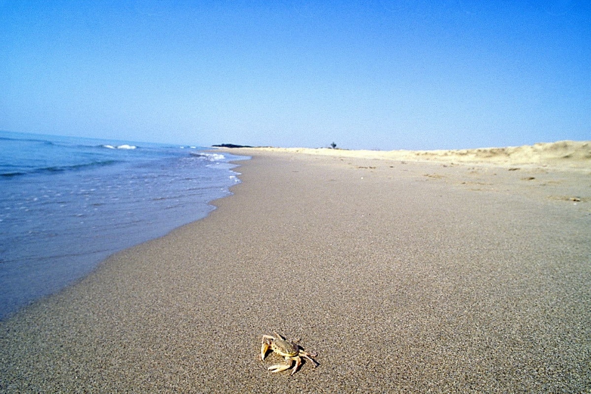 Sai perché il lido Metaponto è la spiaggia più amata a Matera? 3