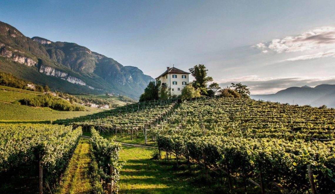 Italy's Wine Regions