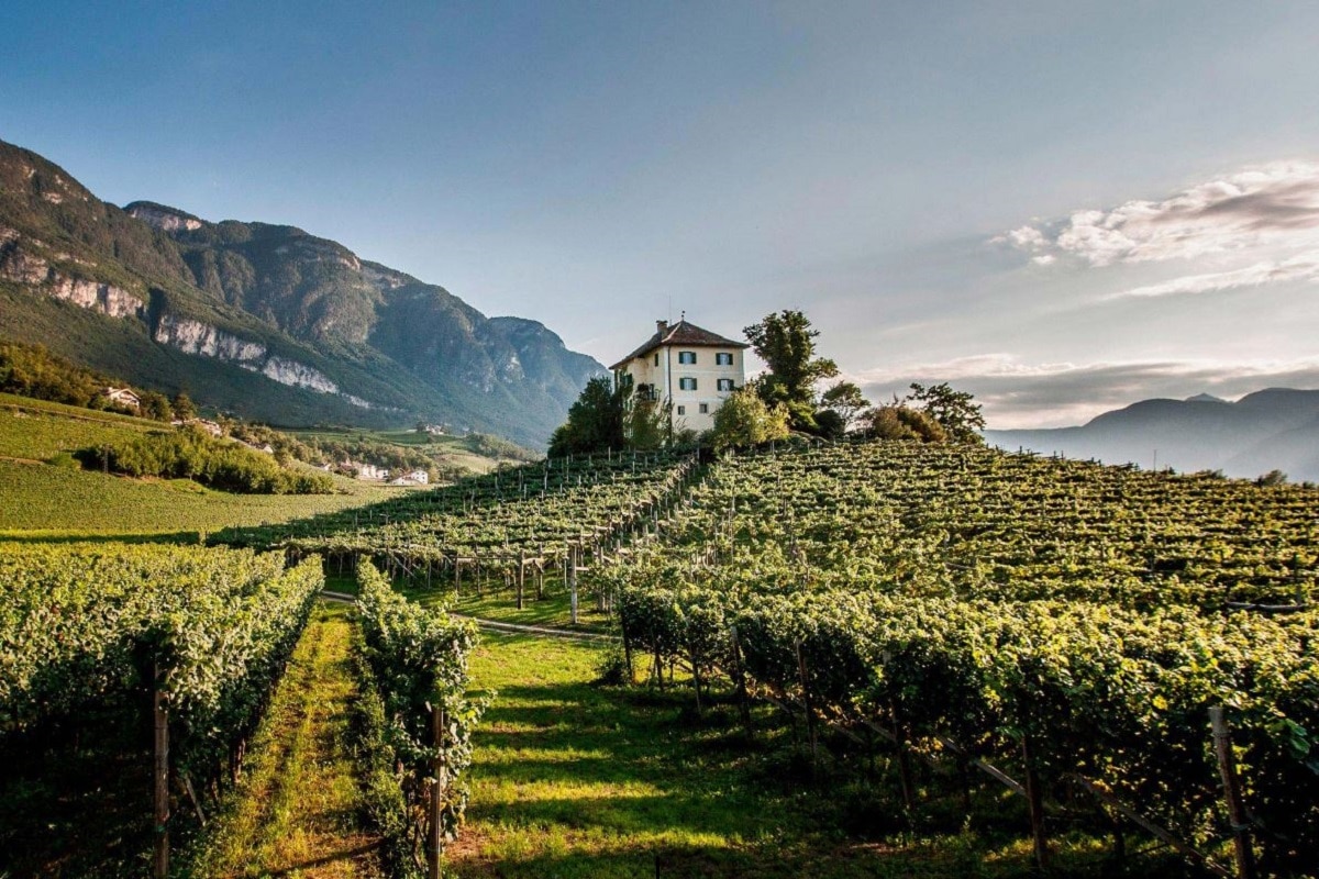 Estate in montagna Scopri Bolzano tra escursioni e aperitivi CREDITS strada del vino suedtiroler-weinstrasse