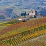 Langhe, Roero e Monferrato un itinerario UNESCO - Castello Grinzane Maurizio Milanesio 2