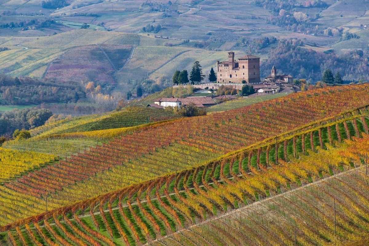 Langhe, Roero e Monferrato un itinerario UNESCO - Castello Grinzane Maurizio Milanesio 2