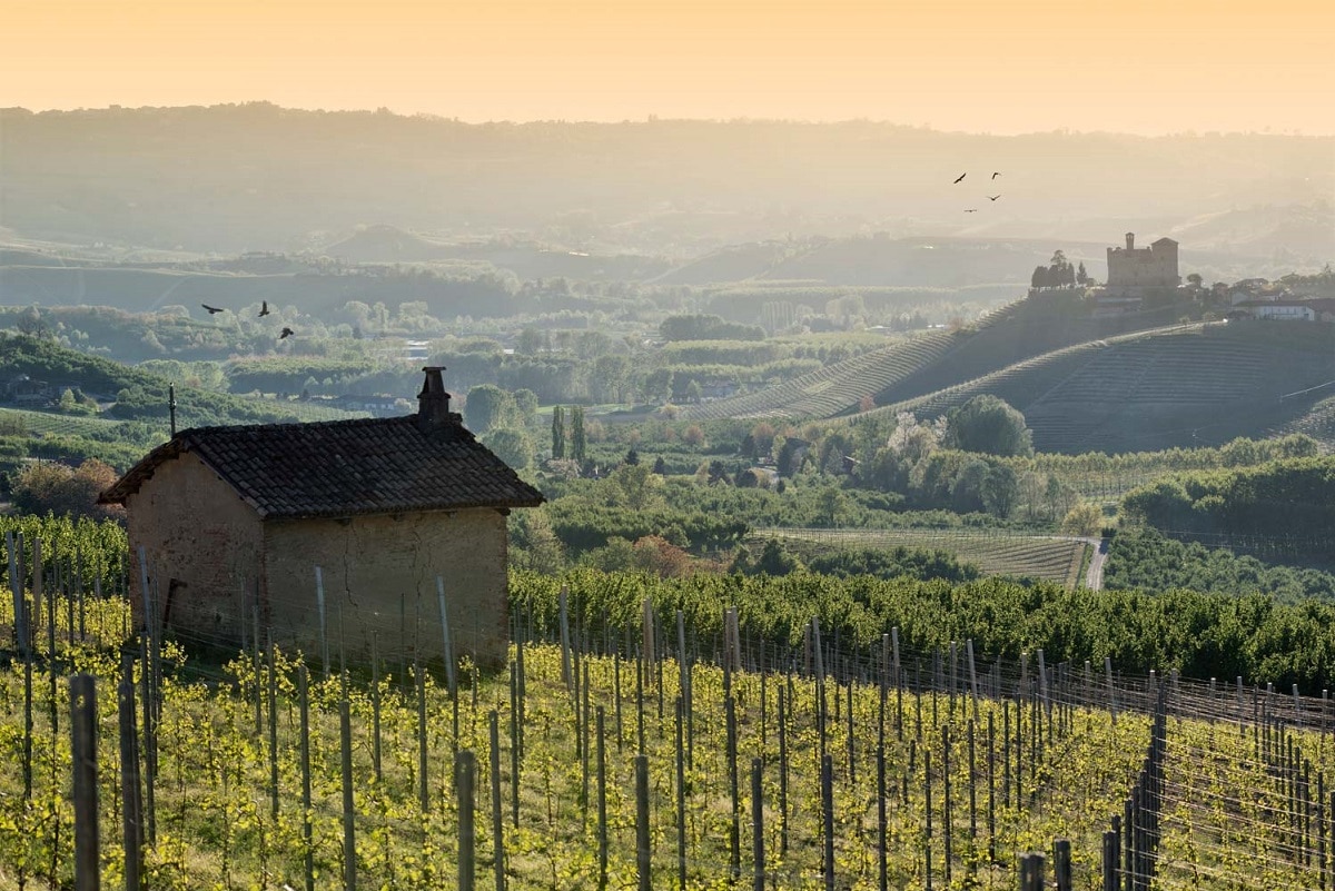 Langhe, Roero e Monferrato un itinerario UNESCO - Castello Grinzane Maurizio Milanesio 3