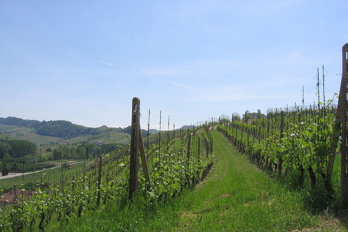 Langhe, Roero e Monferrato un itinerario UNESCO - credits Lanthanum57