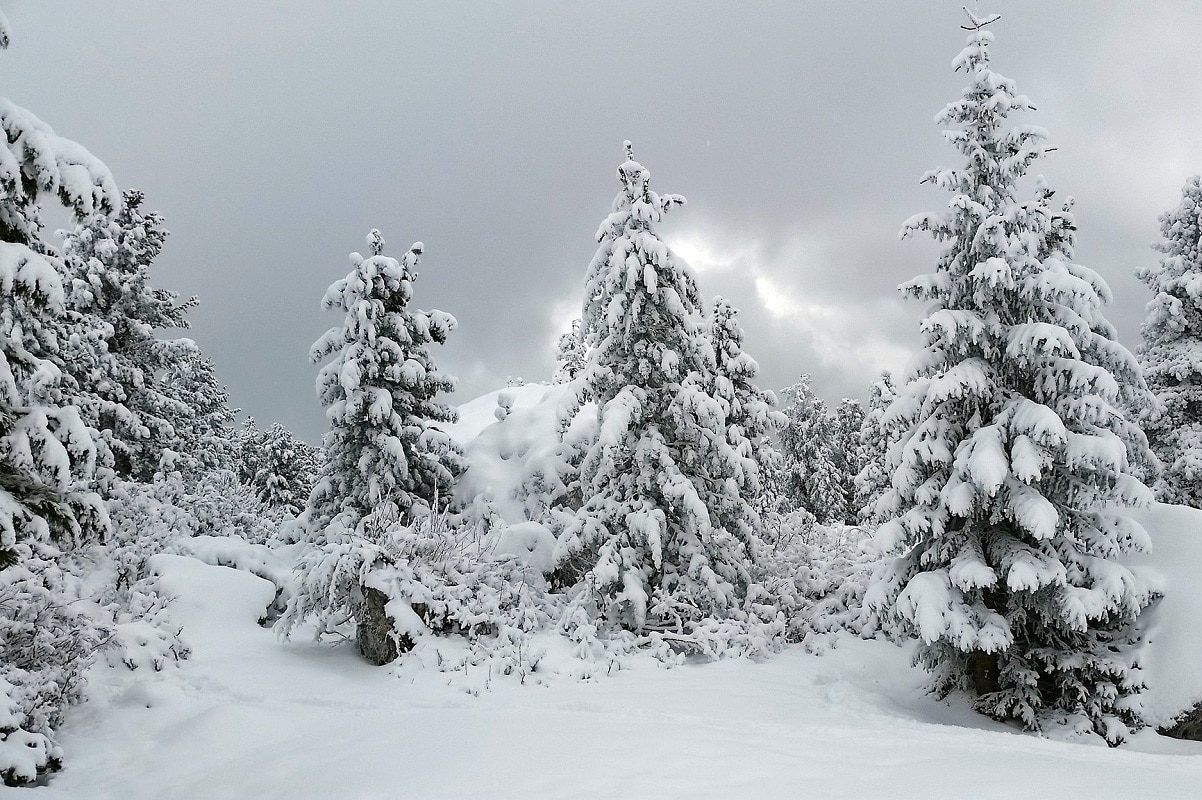 Trekking invernale a Bolzano credits Christian via Flickr