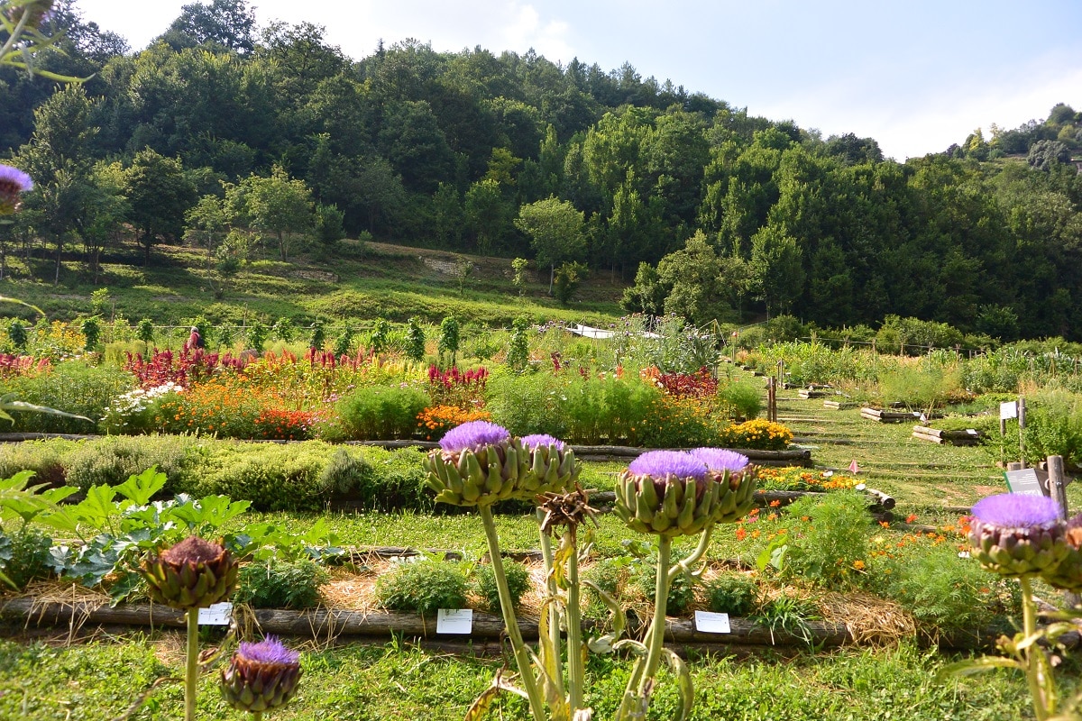 Visitare Bergamo 3 luoghi basso alto - Orto botanico