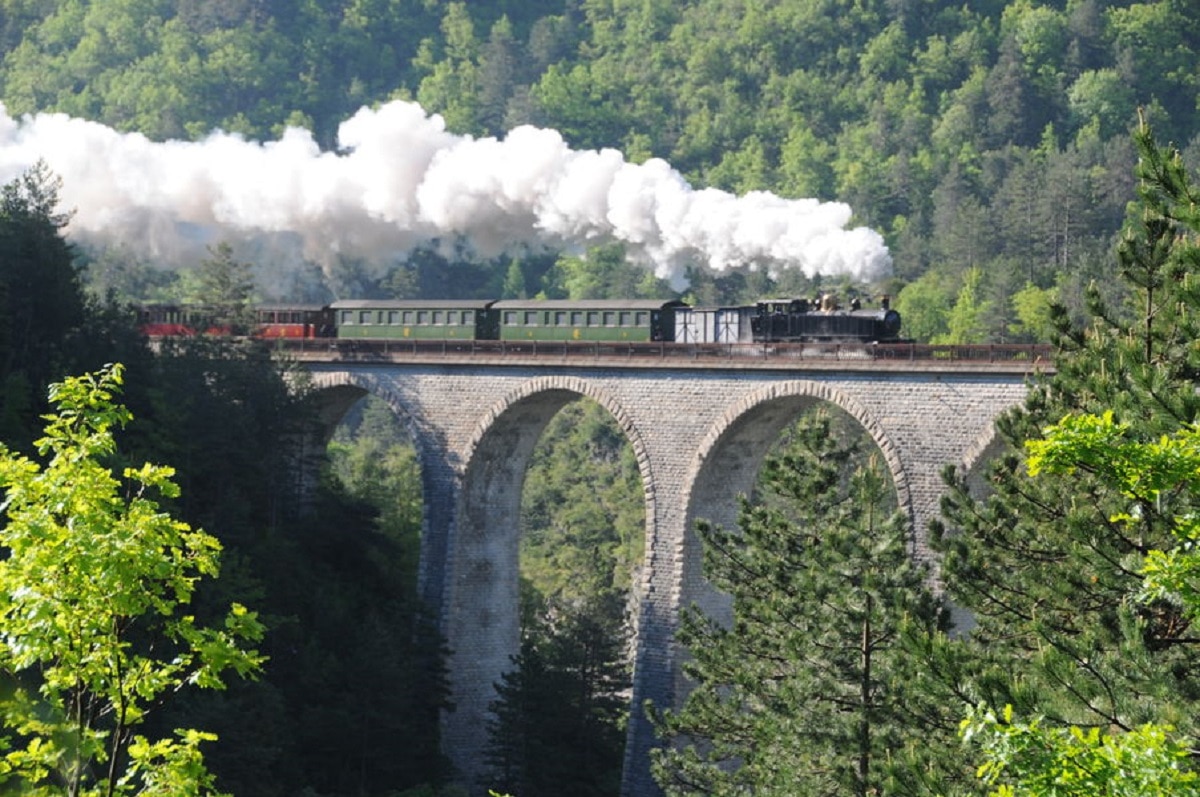 treno delle pigne 1