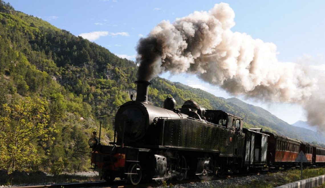 treno delle pigne 2