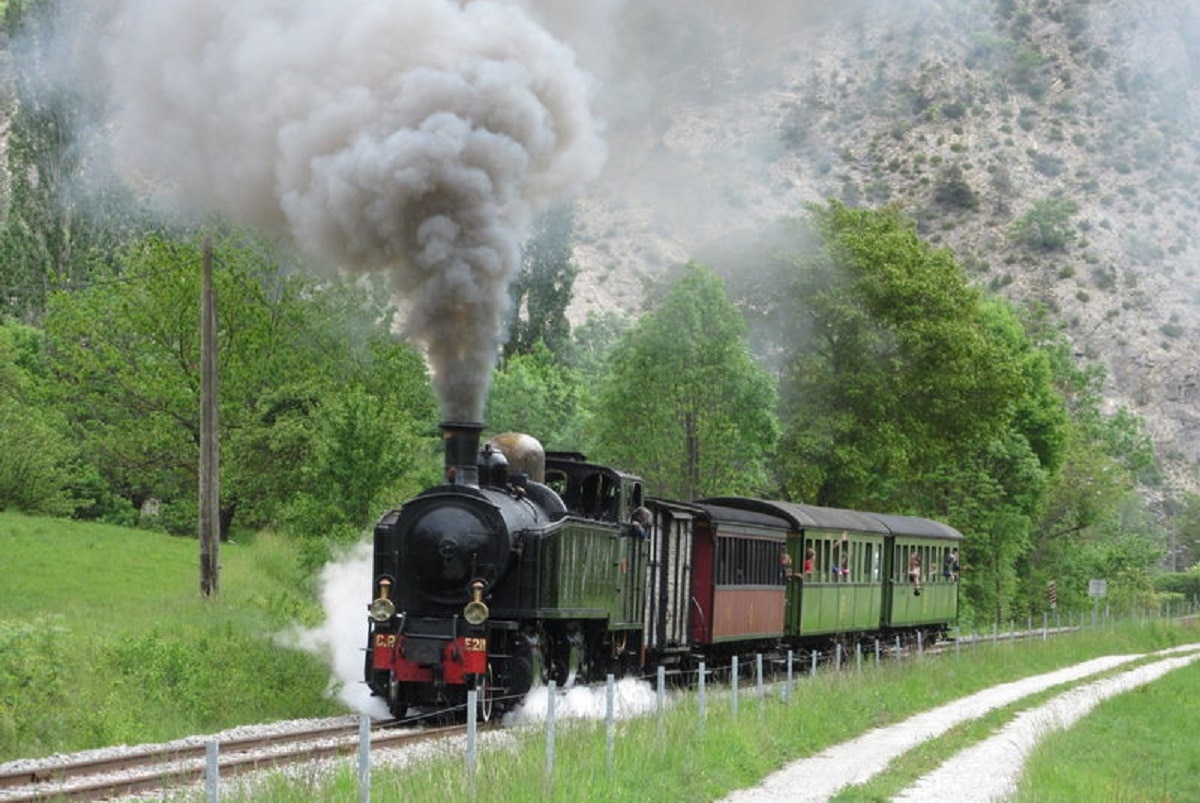 treno delle pigne 4