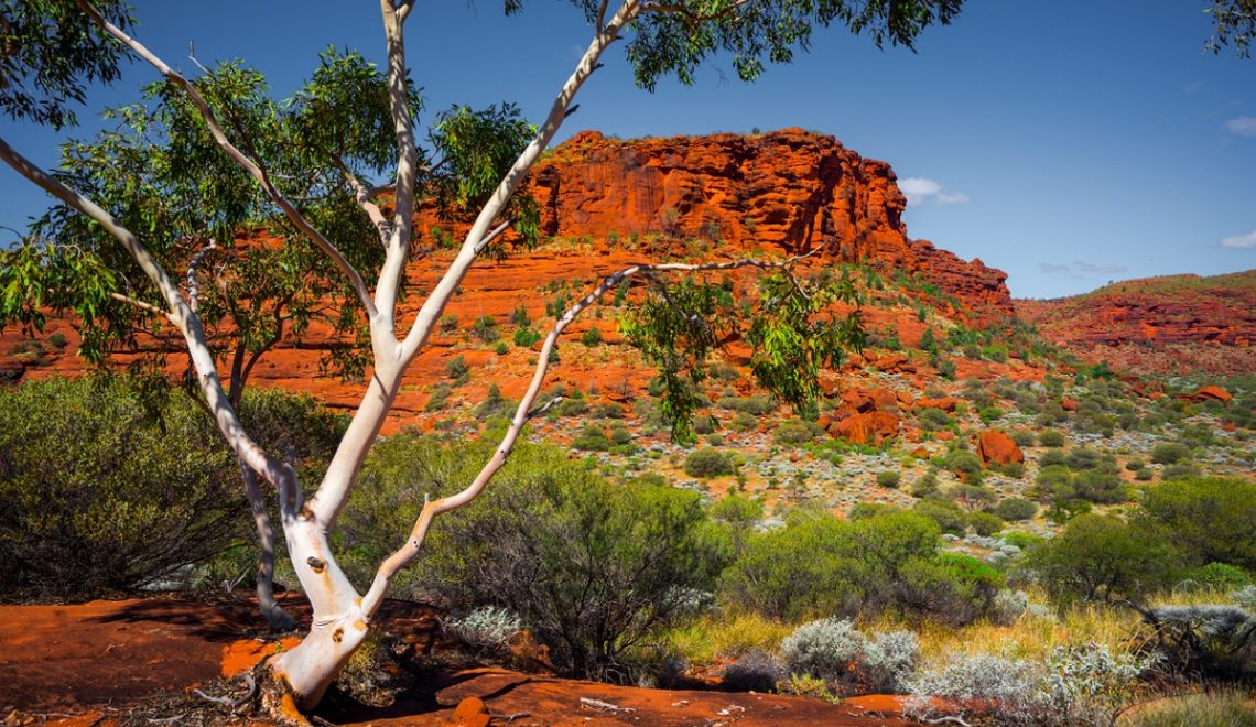 The Ghan paesaggi australiani 2