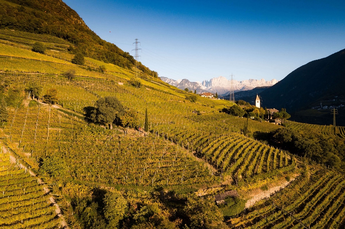 Strada del vino Bolzano