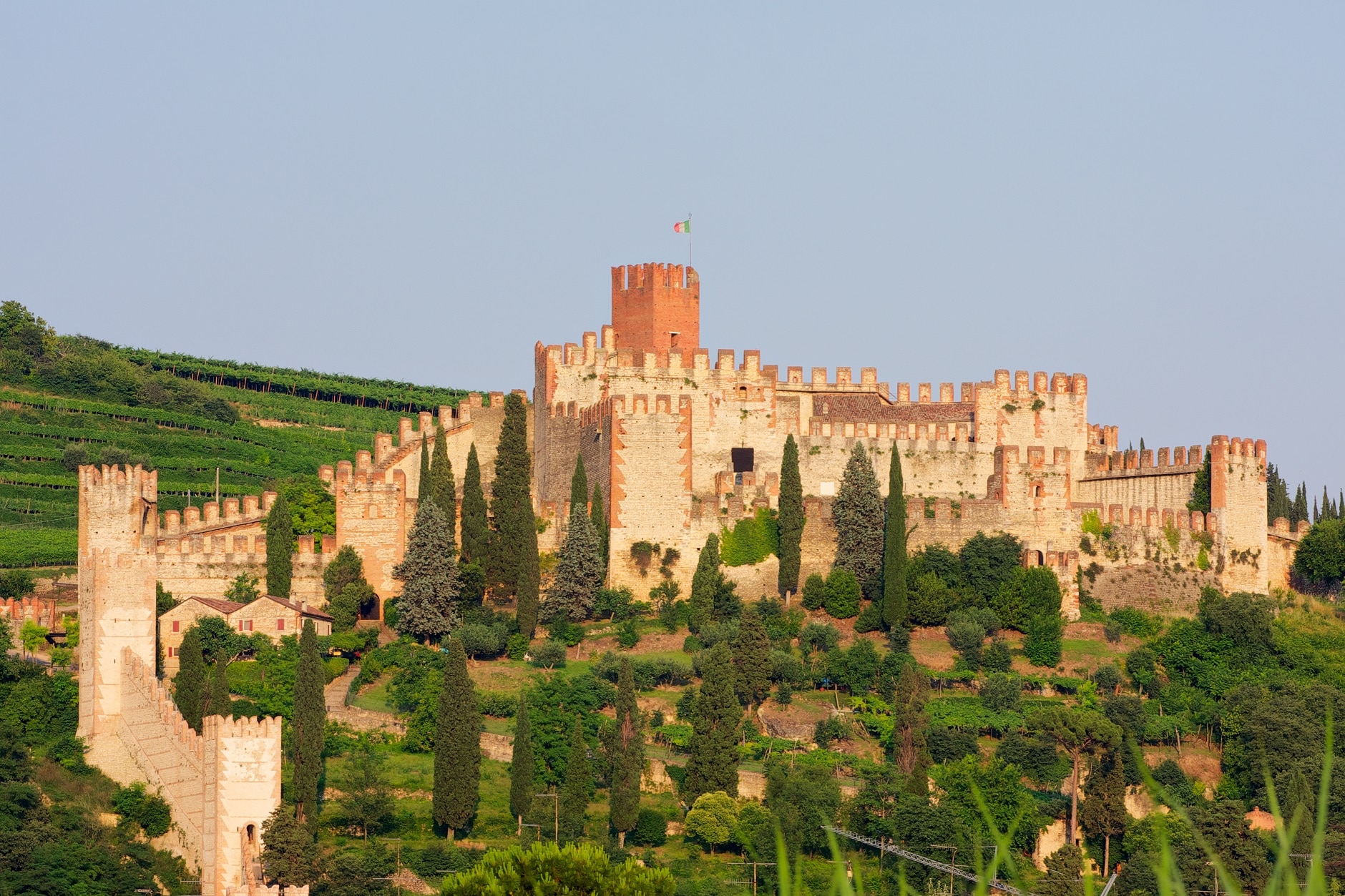 Soave