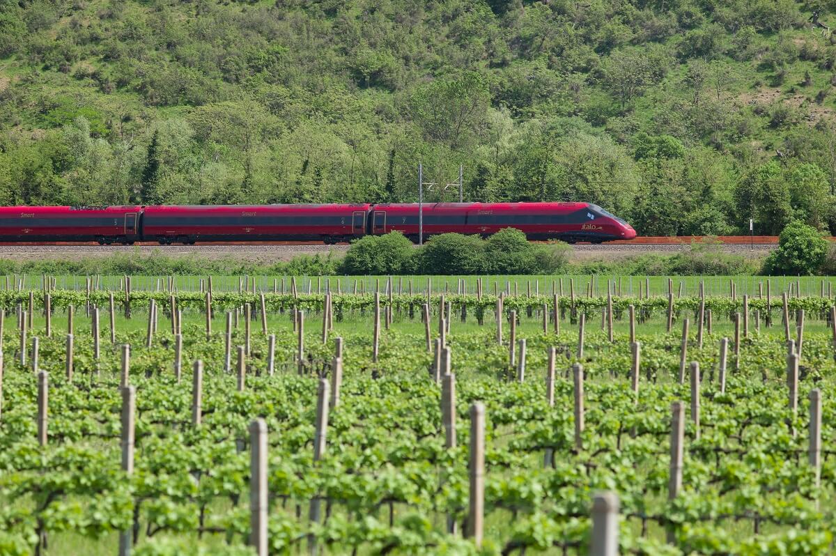 treno che passa in mezzo a campi coltivati