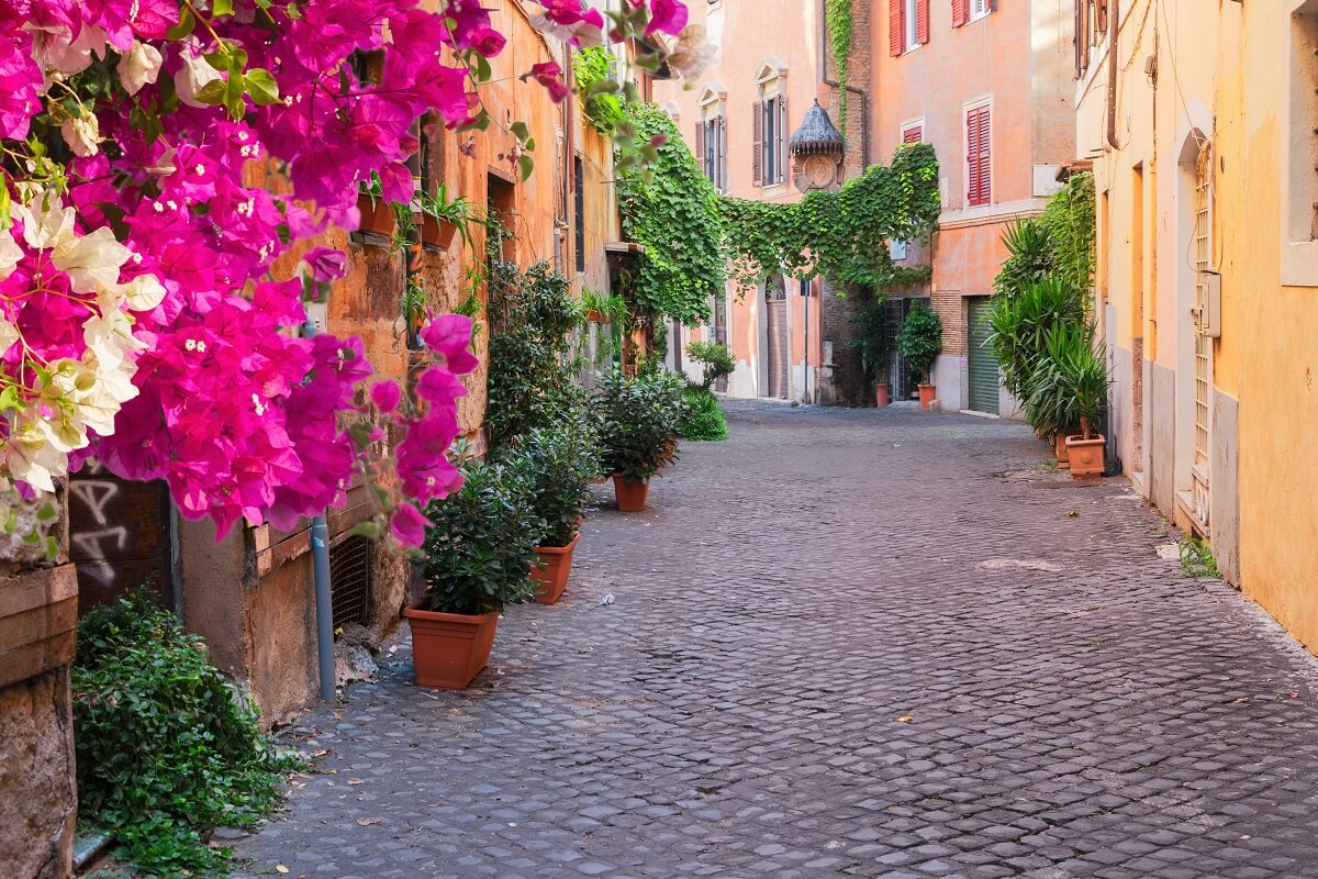 vicolo con piante a Trastevere