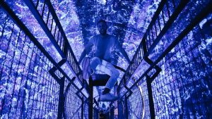 Museo delle illusioni