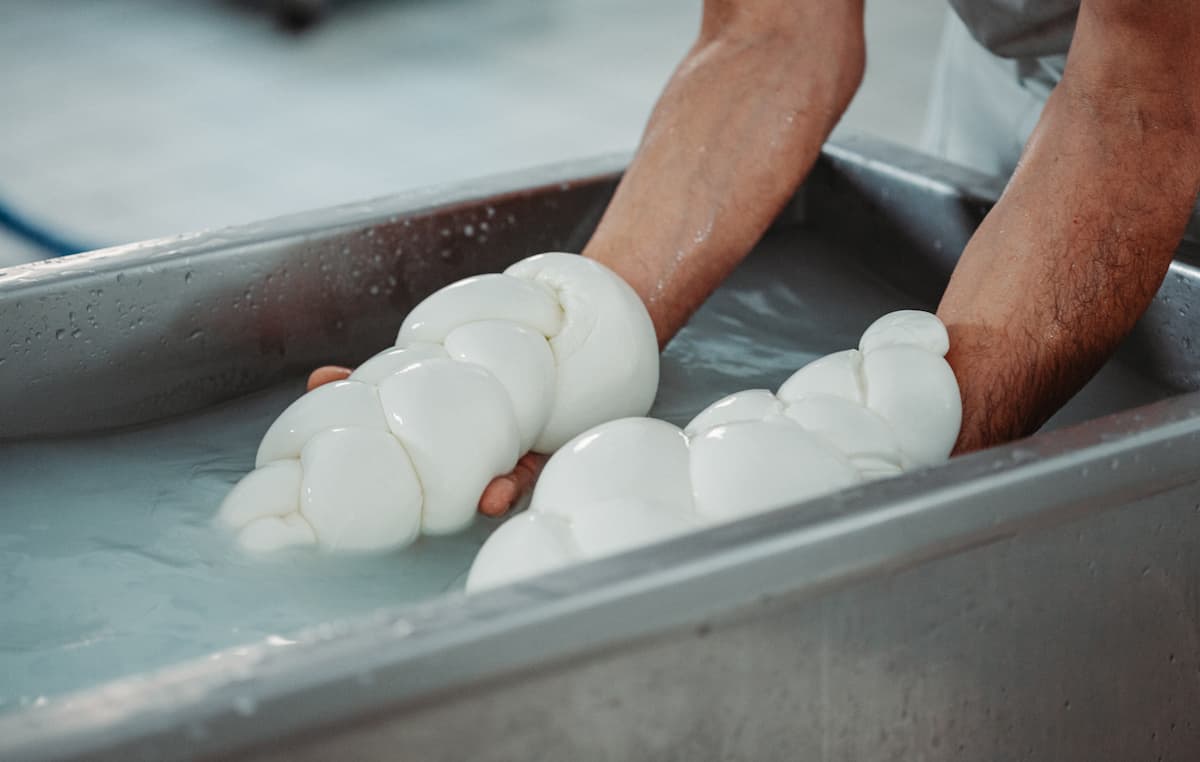 mozzarella-dop-gioia-del-colle