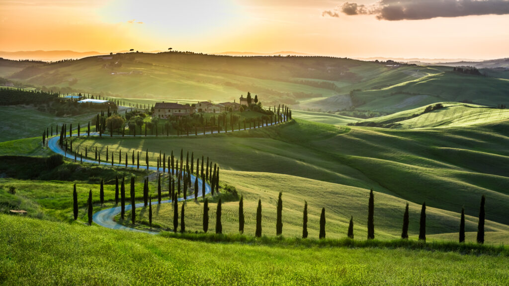 Strada Cipressi Toscana