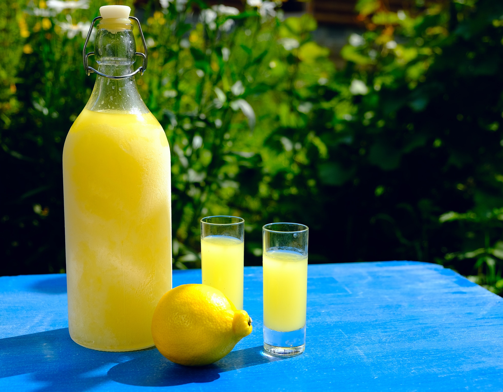 Summer, garden party with limoncello. Sun day