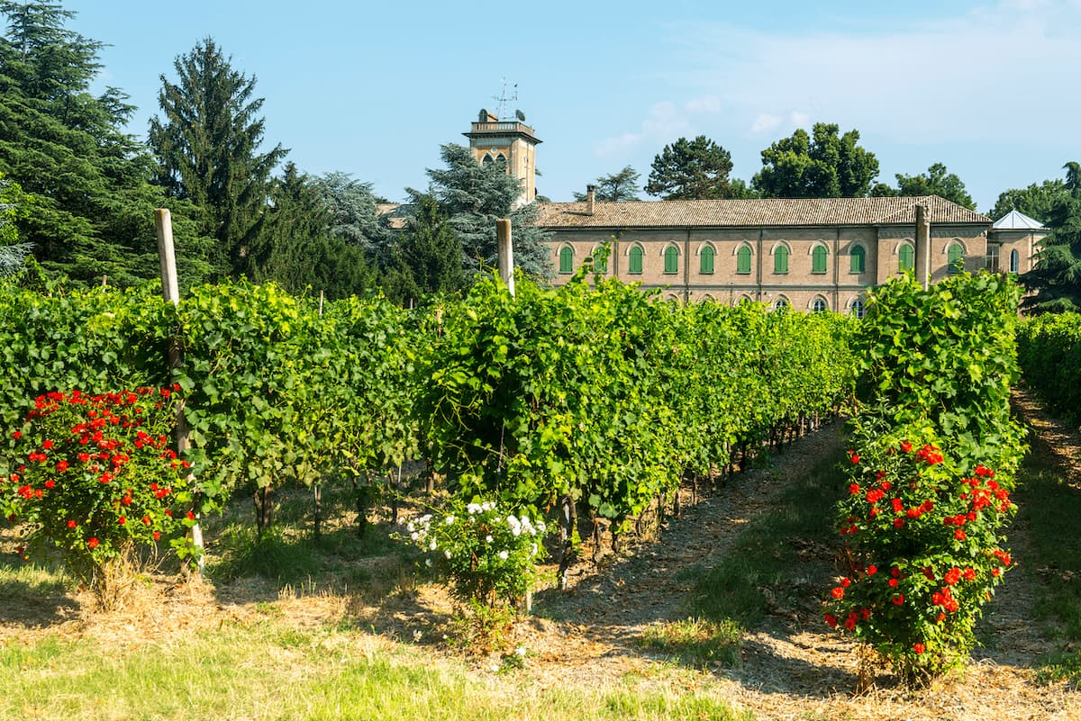 Cosa vedere a Voghera