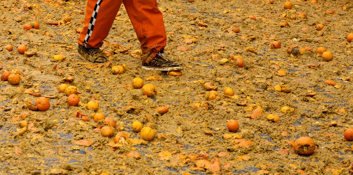 Carnevale di Ivrea