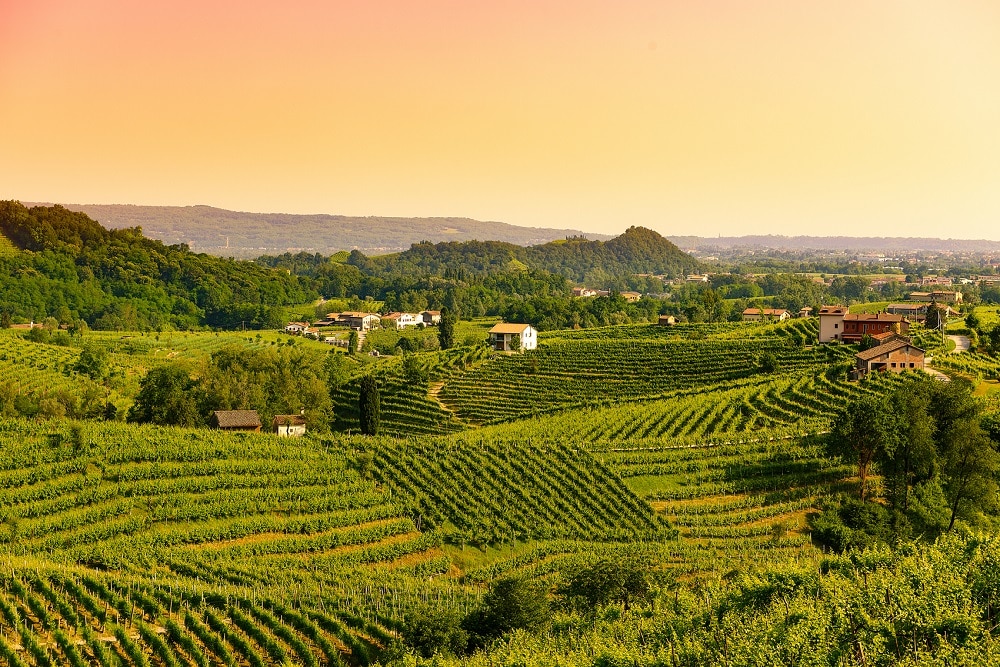 Sunset in the Prosecco Valley near Santo Stefano di Valdobbiadene
