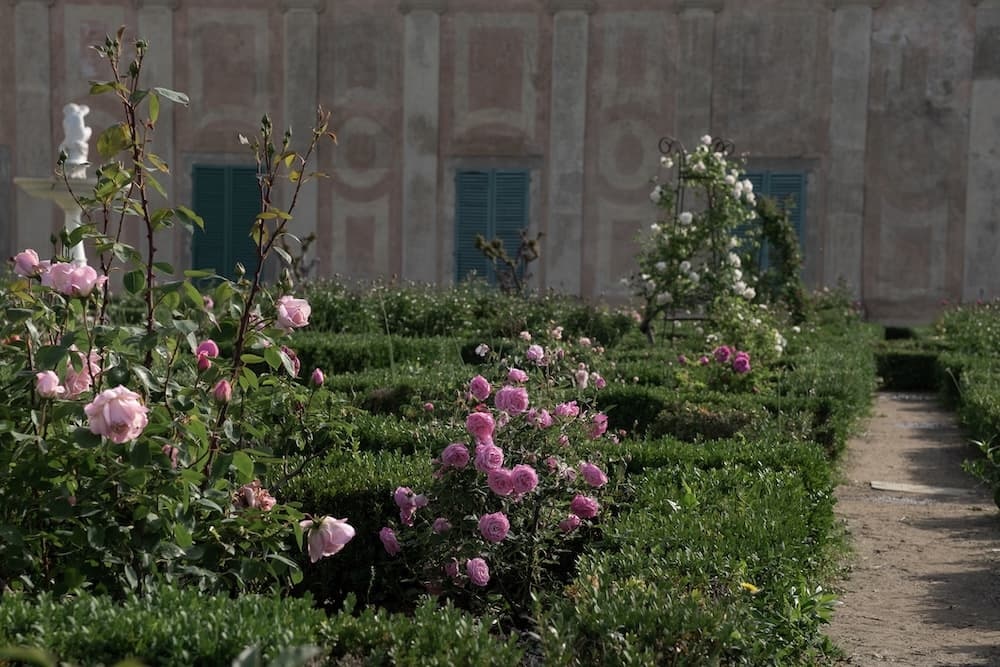 Il Giardino delle Rose e il Piazzale Michelangelo (estensione consigliata)