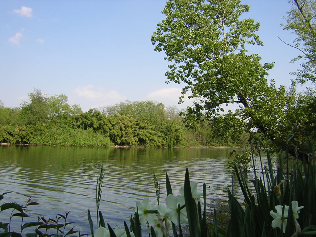 © Andrea Longo - Bosco di Vanzago