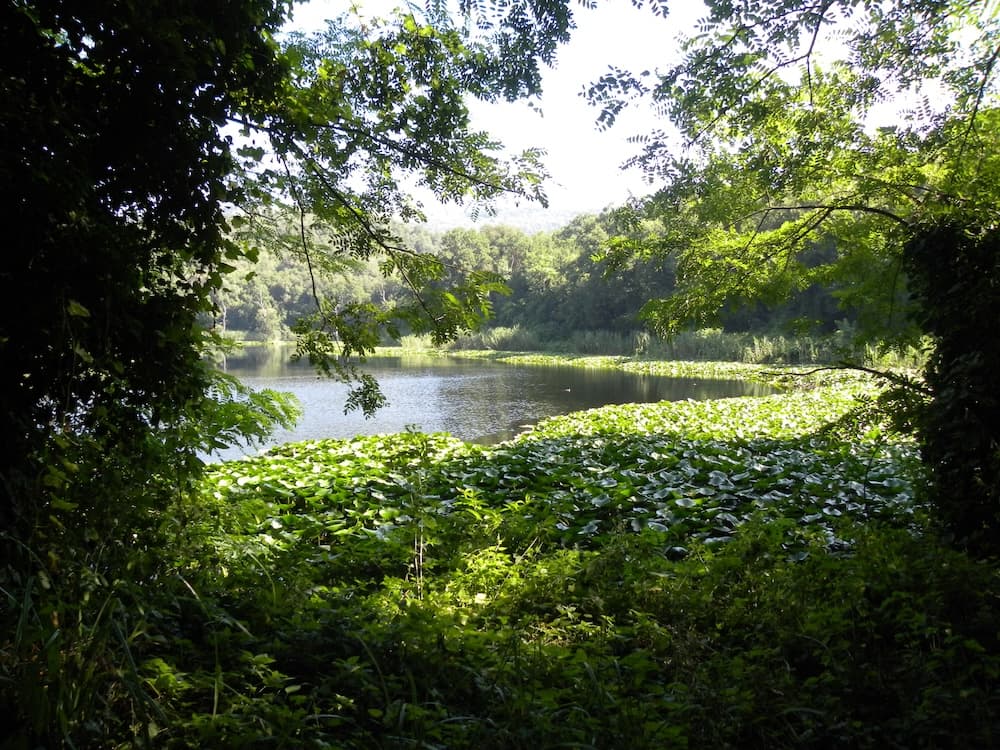 © G.Tammaro • Cratere degli Astroni