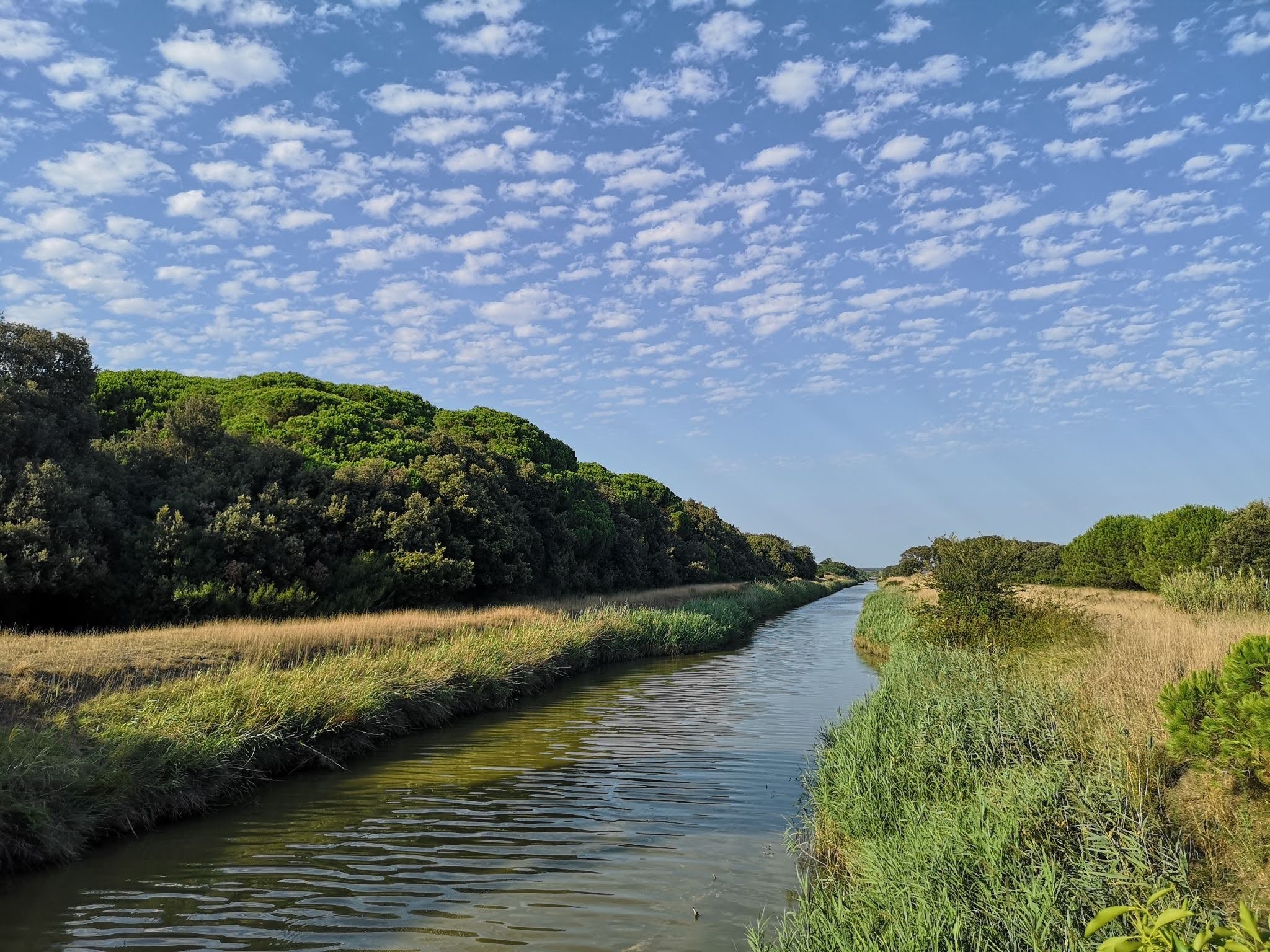 © WWF Italia - Macchiagrande