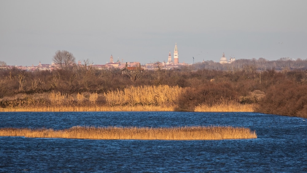 OASI_VALLE_AVERTO_RENATO_PALAZZI_1